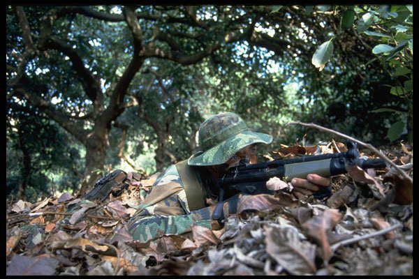 270043 SEAL With MP 5 Machine Gun A4 Photo Print