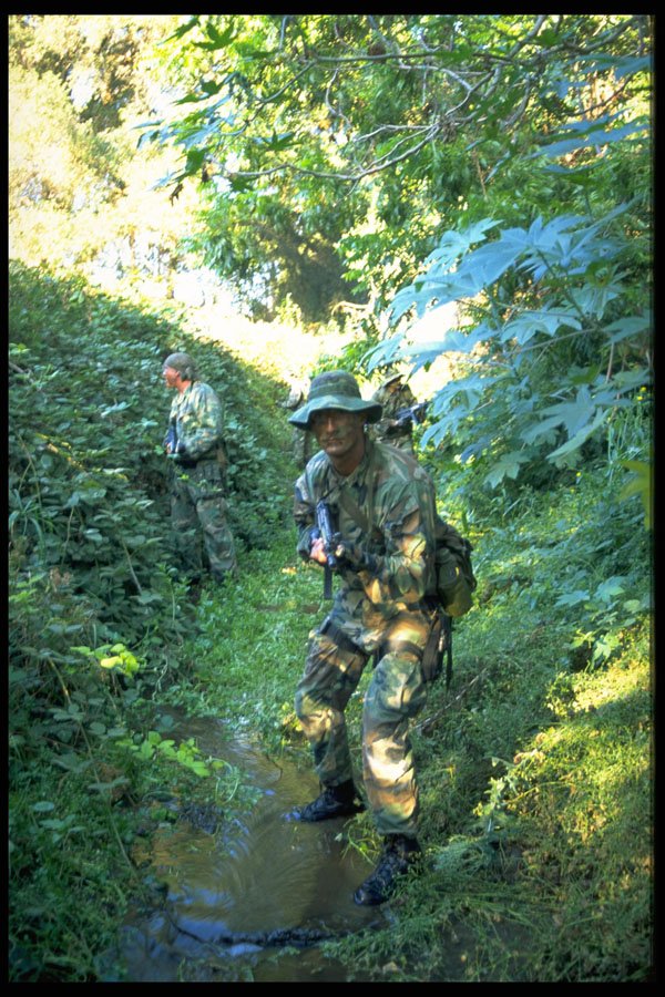 270064 SEALs On Patrol In Ravine A4 Photo Print