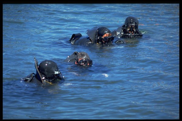 270093 Navy SEALs, Water Insertion, Frogmen A4 Photo Print