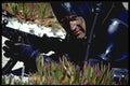 270095 Special Operations, Navy SEALs A4 Photo Print