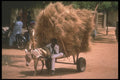 271004 Straw Merchant, Burkina Faso A4 Photo Print