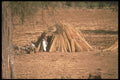 271010 Straw Dome Hut, Mali A4 Photo Print