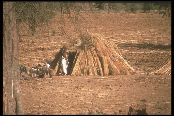 271010 Straw Dome Hut, Mali A4 Photo Print
