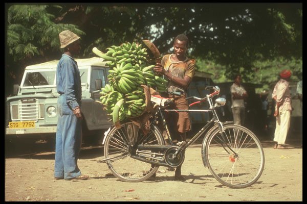271019 Bicycle Banana Vendor, Tanzania A4 Photo Print