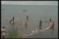 271024 Hauling In Fish Nets, Malawi A4 Photo Print