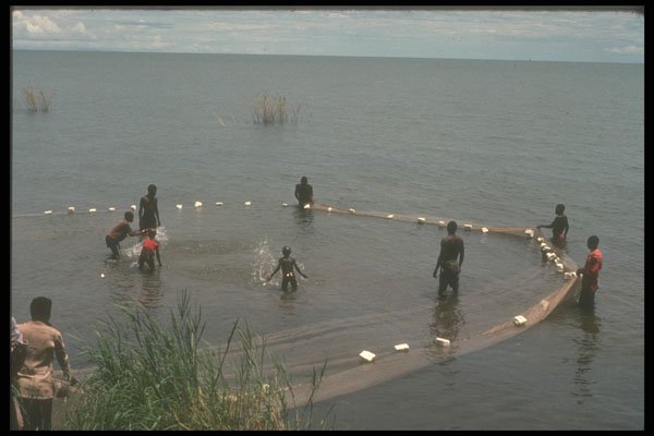 271024 Hauling In Fish Nets, Malawi A4 Photo Print