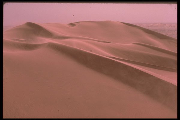 271028 Sand Dunes, Sahara A4 Photo Print