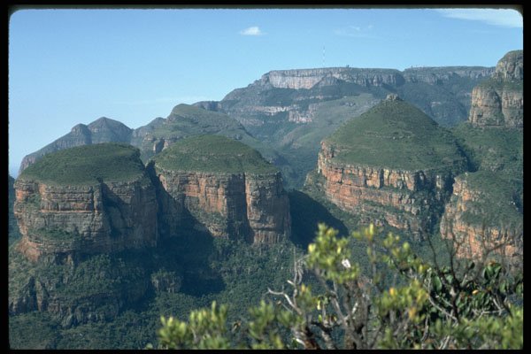 271059 'Nature's Ronderals', South Africa A4 Photo Print