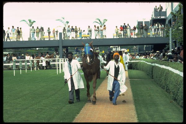 271069 Borrodale Race Track, Harare, Zimbabwe A4 Photo Print