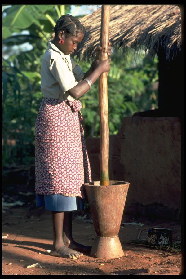 271075 Anchillo Agricultural Women's Co operative Member, Nampula A4 Photo Print