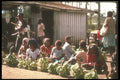 272002 Produce Vendors A4 Photo Print