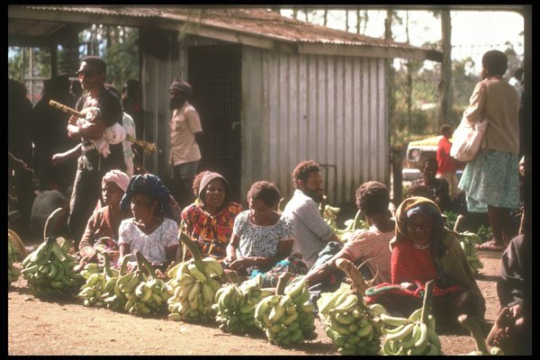 272002 Produce Vendors A4 Photo Print