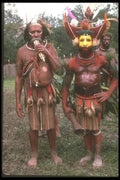 272008 Huli Tribe Chief A4 Photo Print