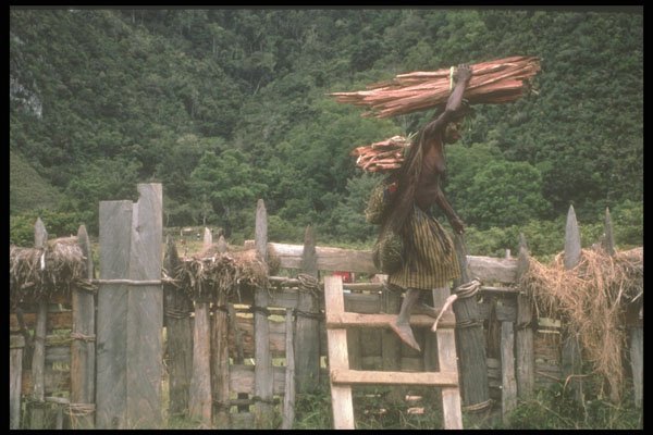 272030 Firewood Vendor A4 Photo Print