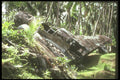 272031 World War II Plane A4 Photo Print