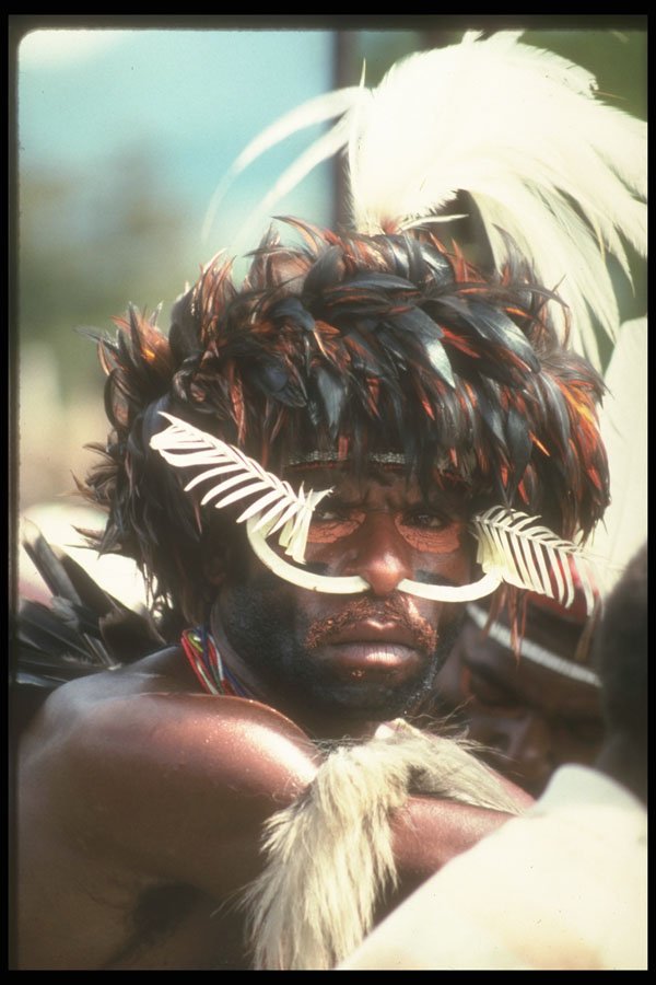 272043 Dani Warrior A4 Photo Print
