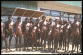 272049 Dani Village At Market A4 Photo Print
