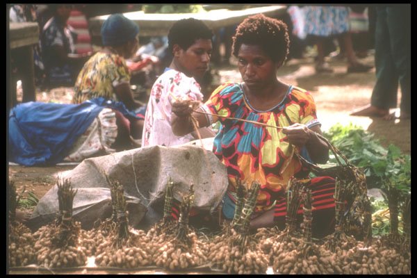 272056 Peanut Vendors A4 Photo Print