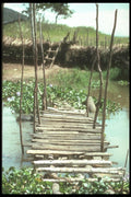 272063 Shaky Bridge A4 Photo Print