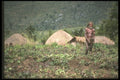 272070 Dani Farmer In Field A4 Photo Print