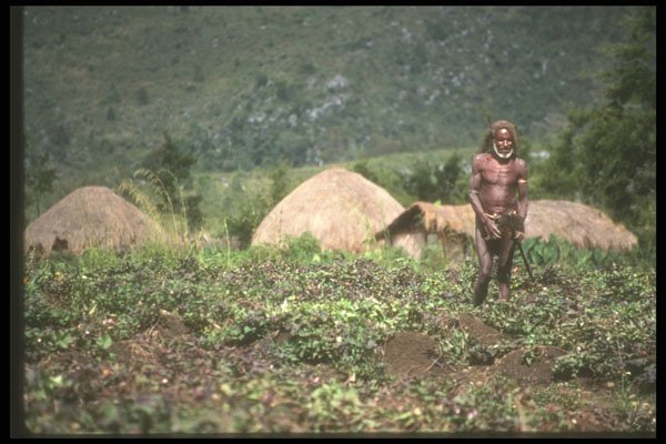 272070 Dani Farmer In Field A4 Photo Print
