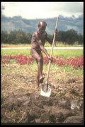 272086 Dani Farmer In Field A4 Photo Print