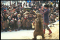 274001 Bear Baiting A4 Photo Print