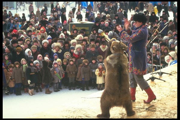 274001 Bear Baiting A4 Photo Print