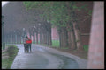274004 Couple Walking In Park A4 Photo Print