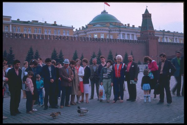 274006 Red Square A4 Photo Print