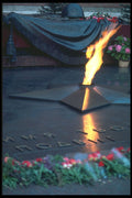274008 Tomb Of The Unknown Soldier (Kremlin Walls) A4 Photo Print