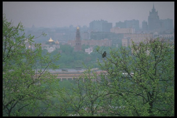 274010 Moscow Skyline A4 Photo Print
