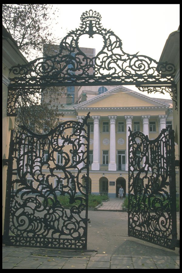 274036 Wrought Iron Gateway A4 Photo Print