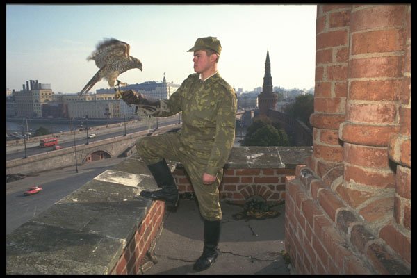 274051 Kremlin Falcons A4 Photo Print