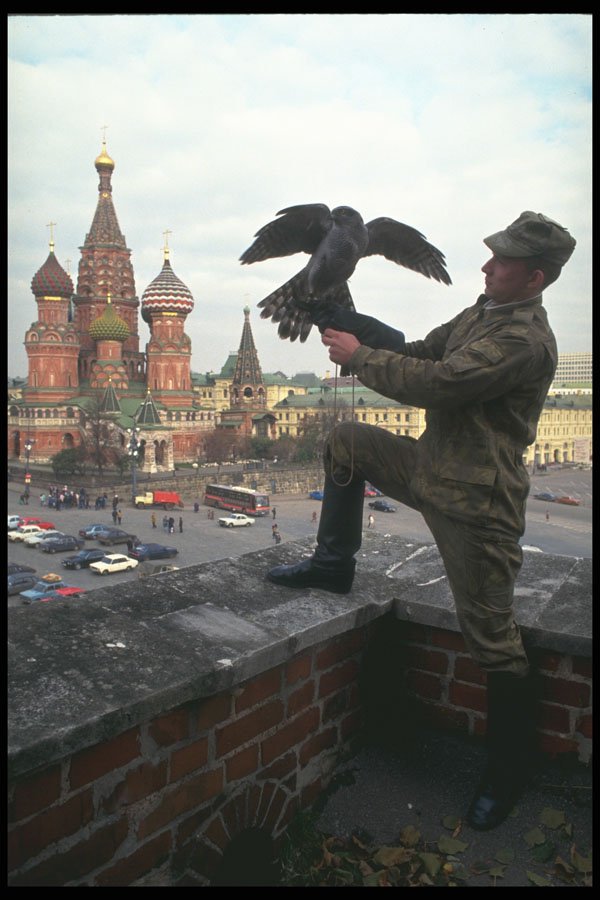 274052 Kremlin Falcons A4 Photo Print