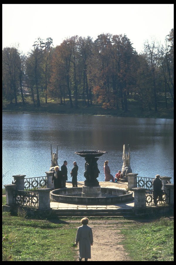 274056 Martino Park A4 Photo Print