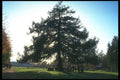 274066 Fedoskino A4 Photo Print
