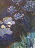 275 Water Lilies And Agapanthus 1914 1917 A4 Photo Print