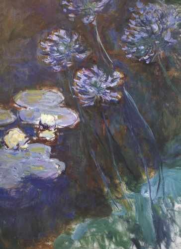 275 Water Lilies And Agapanthus 1914 1917 A4 Photo Print