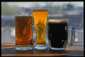275061 English, Pale And Stout Ale A4 Photo Print