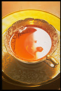 275072 Tisane A4 Photo Print