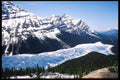 276006 Banff National Park, Peyto Lake A4 Photo Print