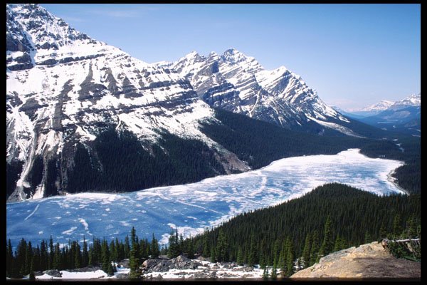 276006 Banff National Park, Peyto Lake A4 Photo Print