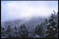 276028 Banff National Park, Mount Norquay A4 Photo Print