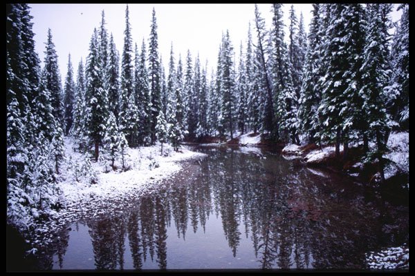 276035 Banff National Park, Spring Show A4 Photo Print