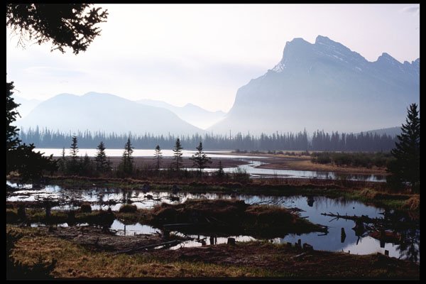 276036 Banff National Park, Vermilion Lakes A4 Photo Print
