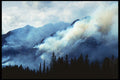 276038 Banff National Park, Prescribed Burn A4 Photo Print