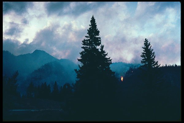 276039 Banff National Park, Prescribed Burn At Sunset A4 Photo Print