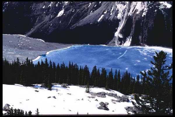 276047 Banff National Park, Peyto Lake A4 Photo Print