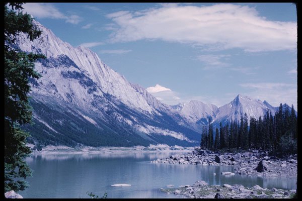 276072 Jasper National Park, Medicine Lake A4 Photo Print